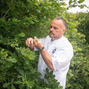 Ground Up Cookery School Wild Food Foraging & Cookery