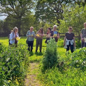 September Herb Walk