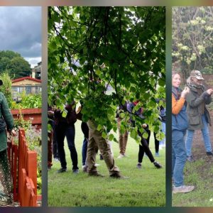 Foraging Course: Wild Things 2026