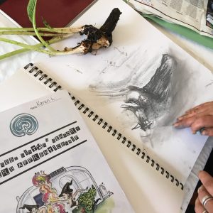 Sensory Herbal Apprenticeship