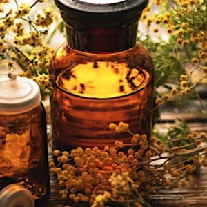 Herbal Medicine Journey - 1 year course 2026!